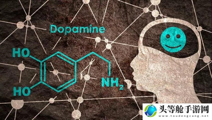 探索Dond的多元魅力：揭示其背后的故事与影响