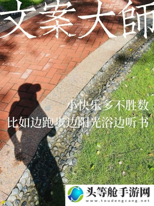 九块八：日常生活中的微小力量与美好瞬间