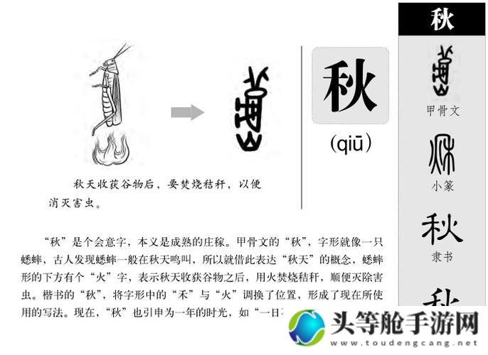 秋意新字：探寻汉字中的秋旁魅力