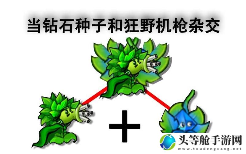 种子机关枪的奥秘：游戏中的终极武器解析