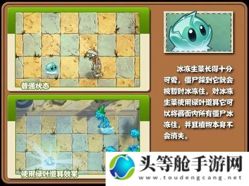 冰冻生菜：游戏中的秘密与实战应用策略