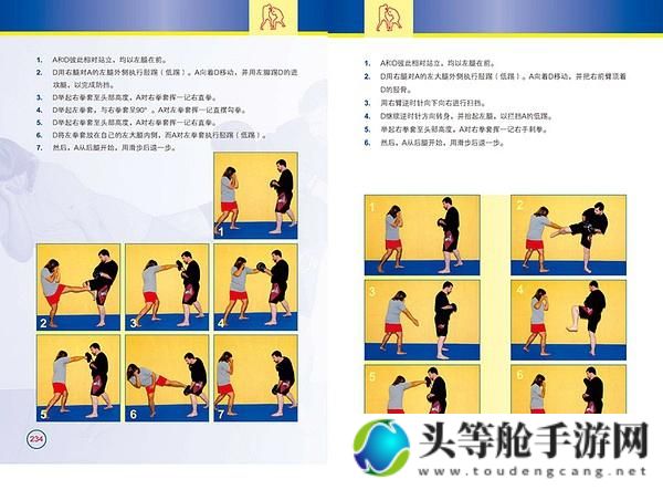 终极格斗技巧：致命格斗策略揭秘